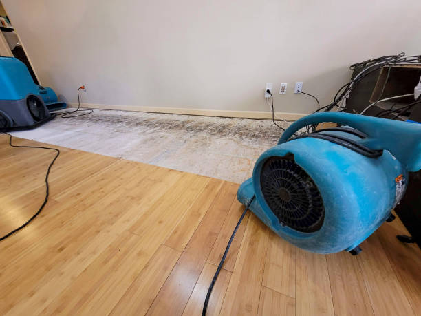 Professional Water Removal technician working in Saulsbury, TN